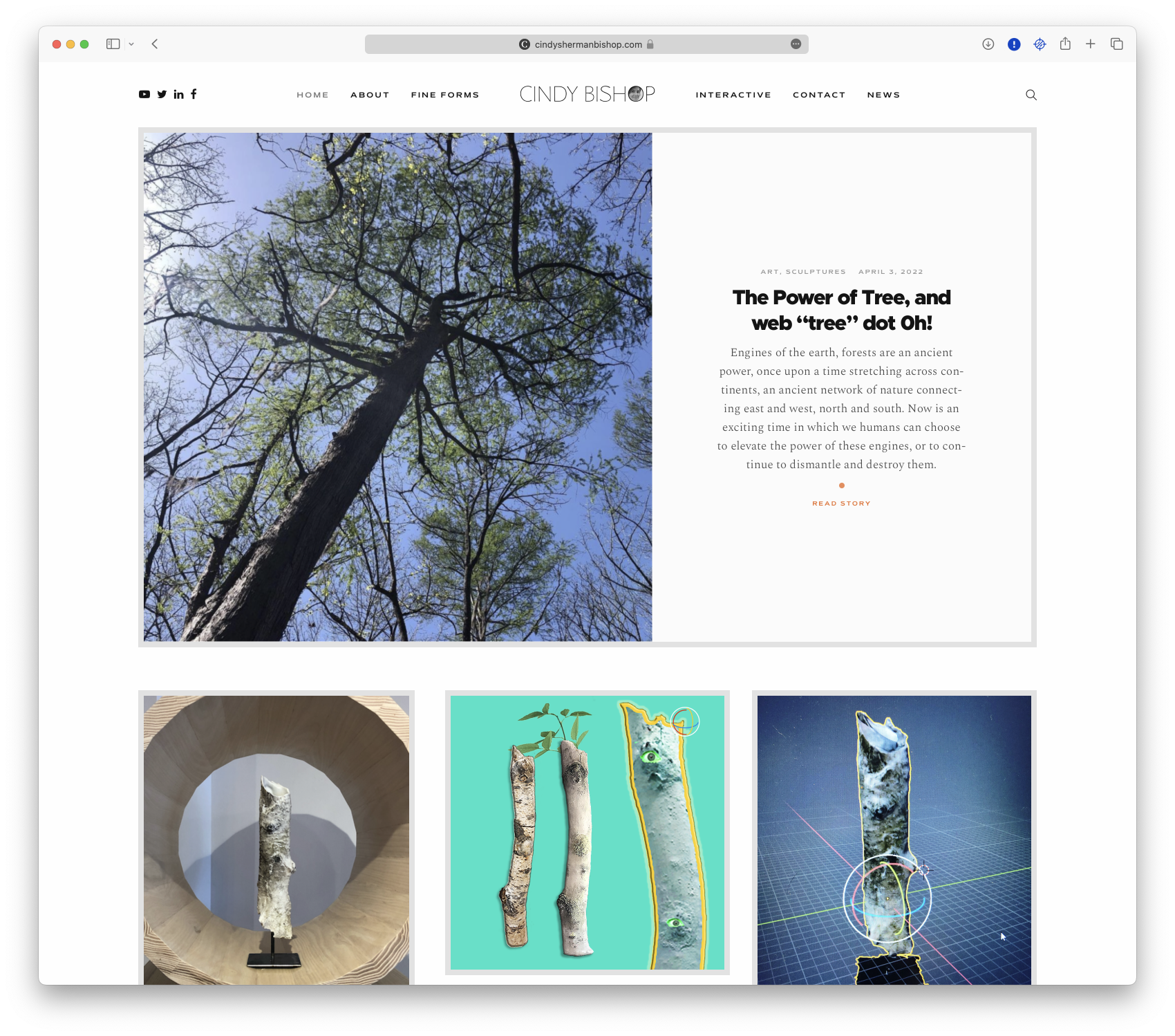 A website screen shot featuring a tree.