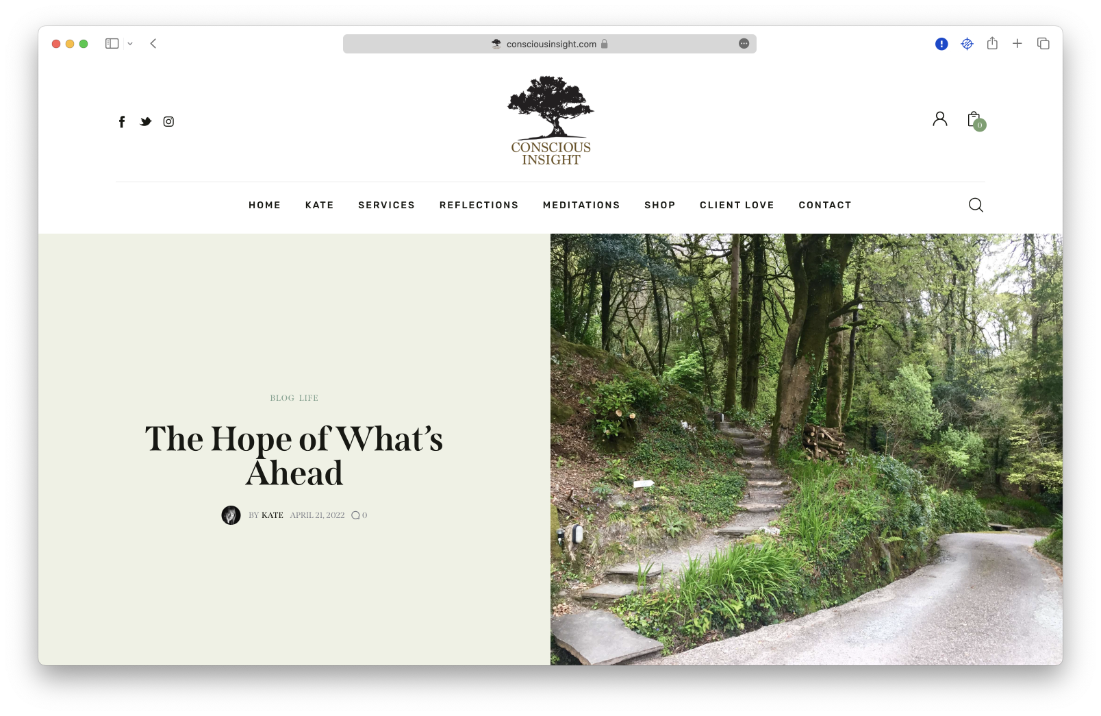 The homepage of the Conscious Insight website.