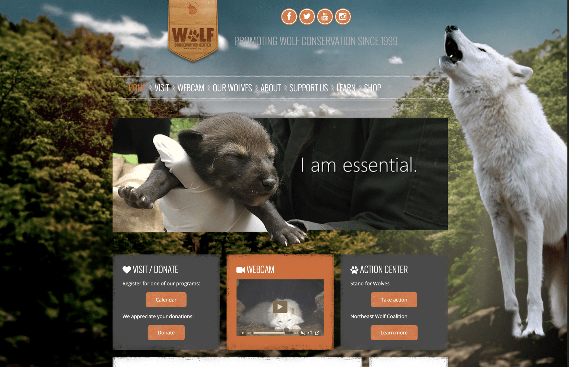 Wolf Conservation Center