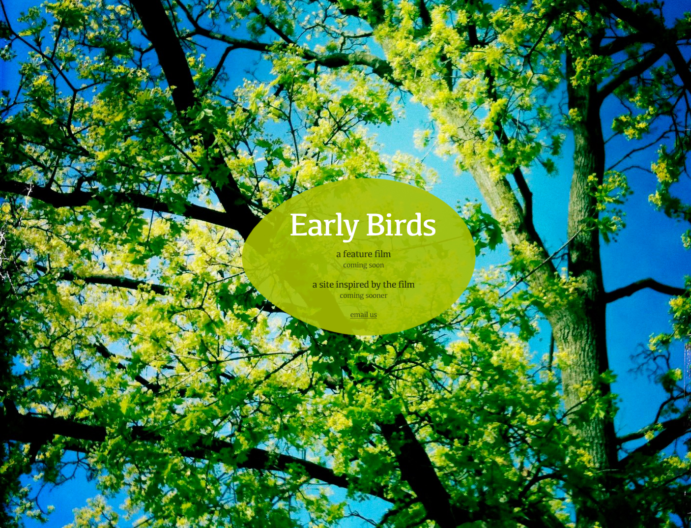 A design for Early Birds - a film concept by Fighting Fish Pictures